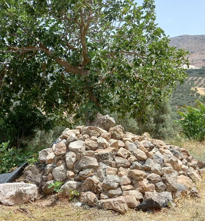 Cortijo La Dehesa Del Trabuco ξενώνας Villanueva del Trabuco 0*,